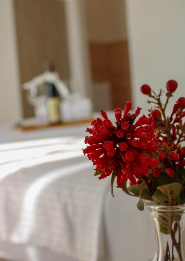 Villa Antonio Ulcinj Buitenkant foto
